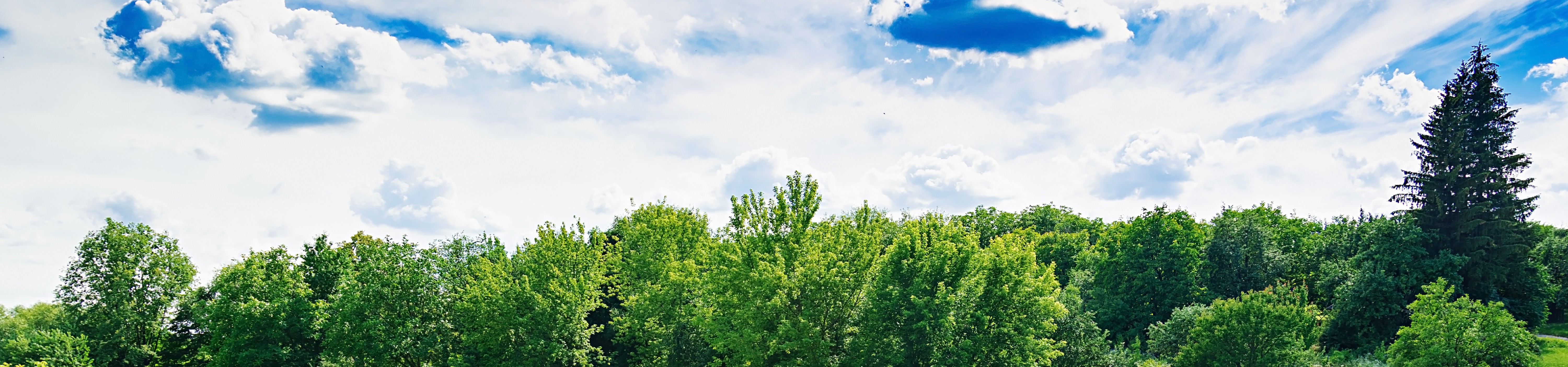 Axeldaase Schmerztherapie